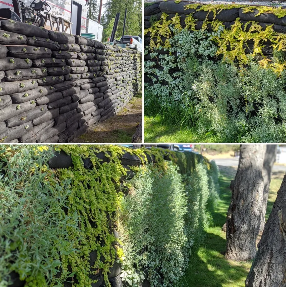 Introducing Flex MSE 